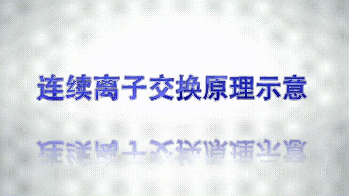 连续离子交换原理示意.gif